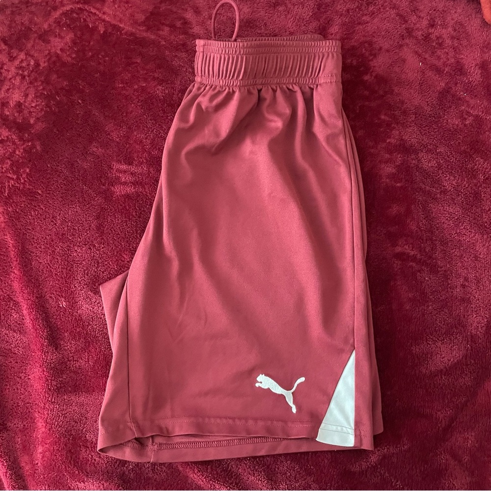 Unisex Puma Sport Shorts